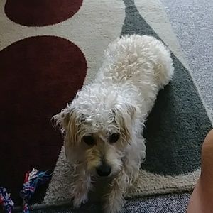 Meet your Posher, Angie